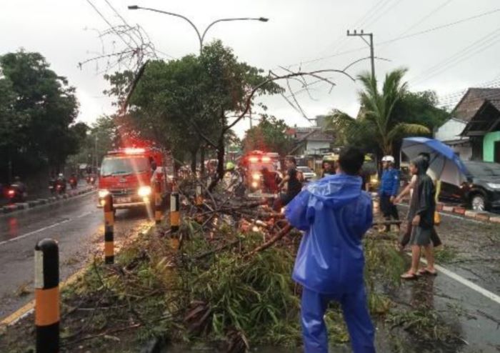 EVAKUASI: Petugas saat menyingkirkan pohon tumbang karena hujan disertai angin di daerah Tamantirto, Kasihan, Bantul.