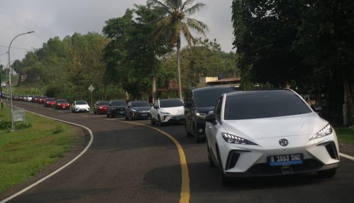 Komunitas mobil listrik saat melintas di JJLS, Kapanewon Panggang, Gunungkidul, Sabtu (23/11/2024) sore.
