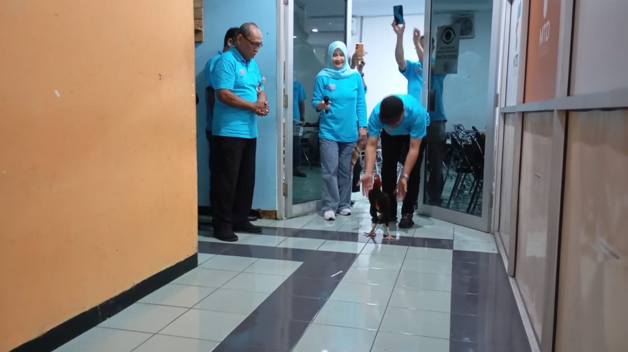Direktur ASRD MSD Yogyakarta Dwi Haryanto saat melepaskan ayam jago sebagai simbolis Dies Natalis ASRD MSD Yogyakarta ke-23 pada Kamis (12/12).