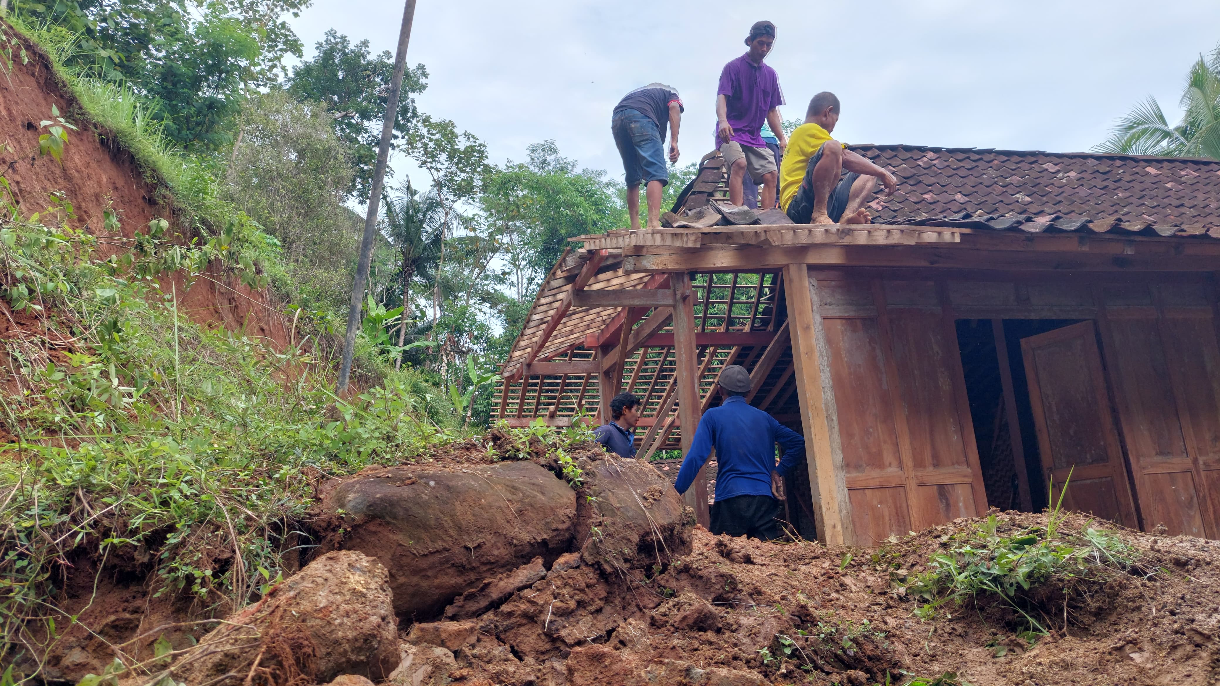 Diawali Suara Keras, Tebing Setinggi&nbsp;Tujuh Meterdi Girimulyo Kulon Progo Longsor