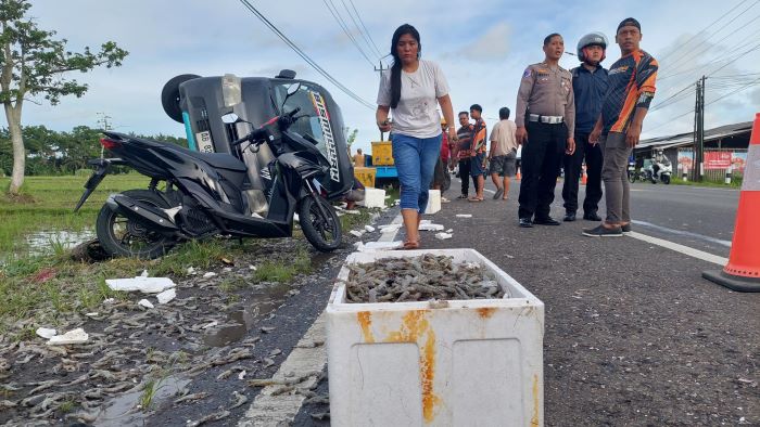 BERCECERAN: Pemilik memungut udang miliknya yang tumpah bertebaran di jalan area Tugu Pensil, Kulon Progo.