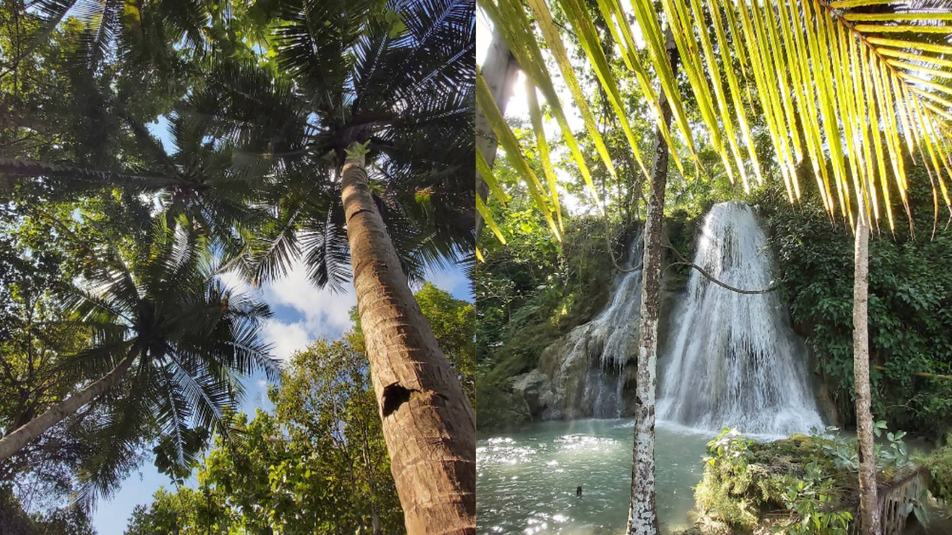 (foto Air Terjun Randusari, google maps)