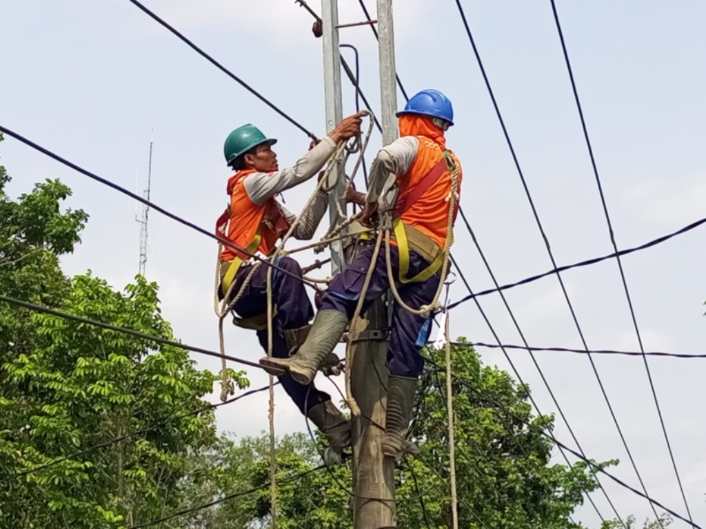 ANTISIPASI GANGGUAN : Petugas PLN ULP  melakukan pemeliharaan jaringan listrik dengan menggunakan peralatan lengkap.