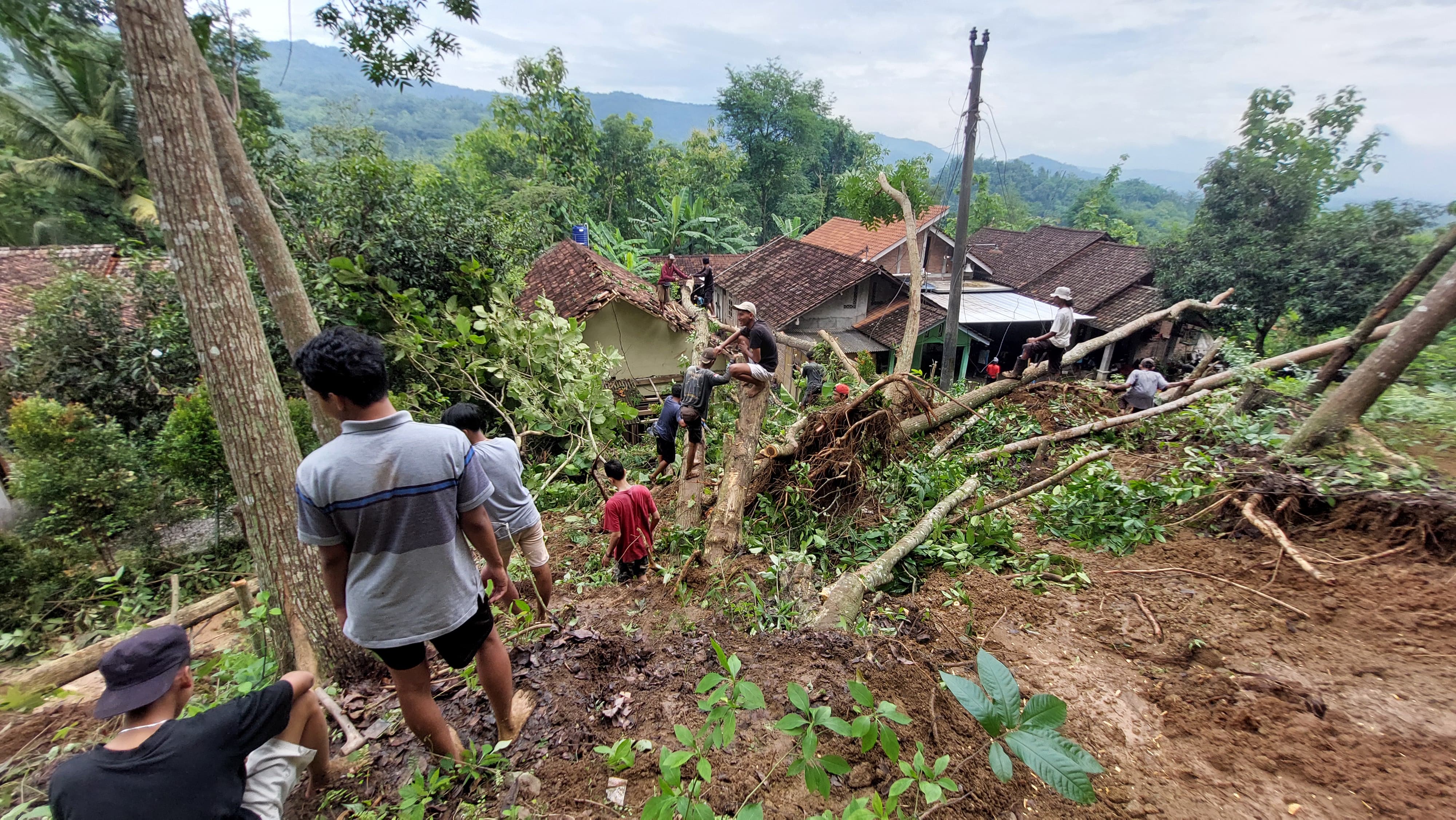 Hujan semalam suntuk menyebabkan tebing setinggi 20 meter longsor, di Padukuhan Tempel, Kalurahan Pendoworejo, Kapanewon Girimulyo, Selasa (7/1) sore.