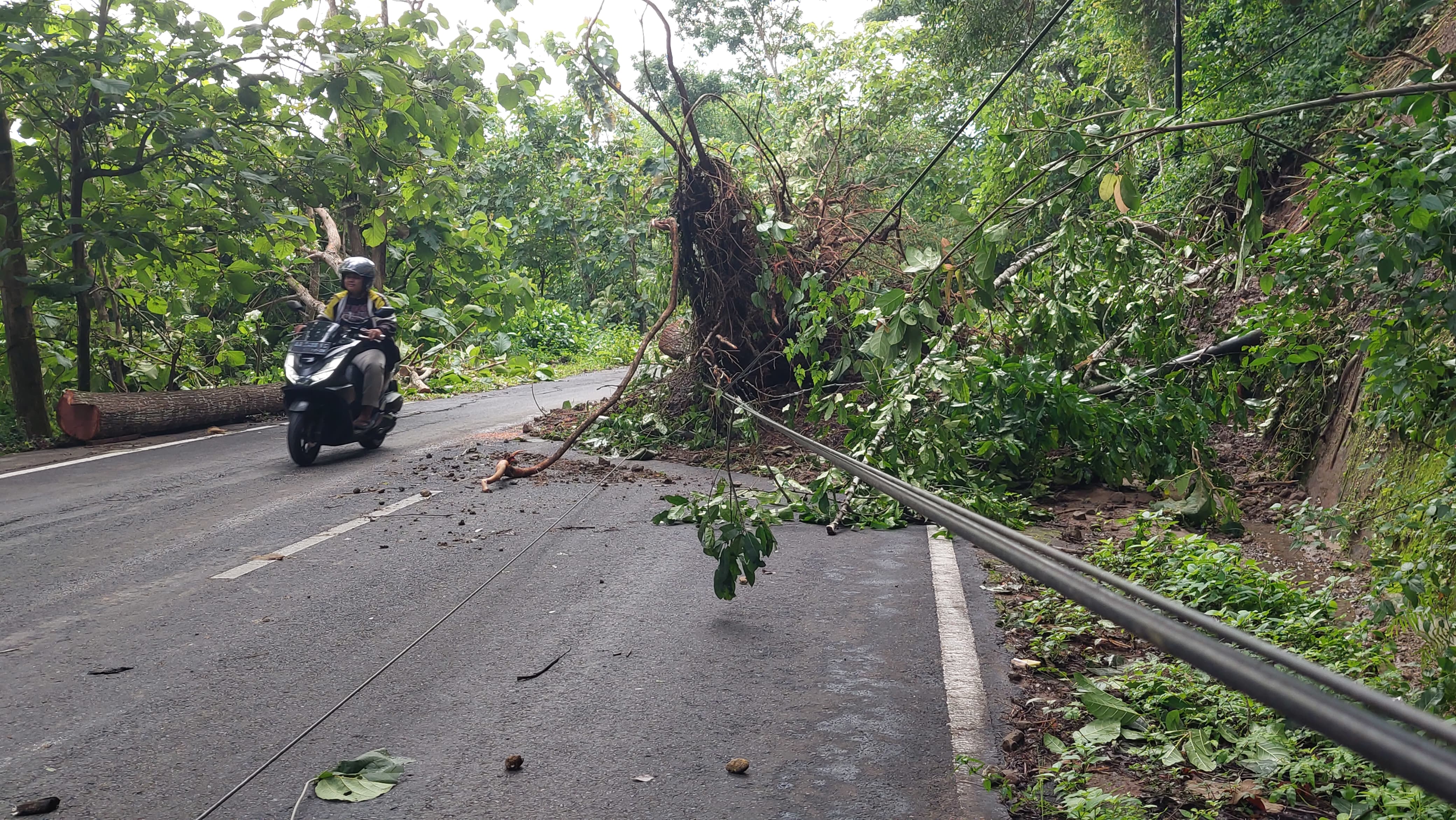TERHALANG: Pengguna jalan melewati material longsor yang menimpa jalan.&nbsp;