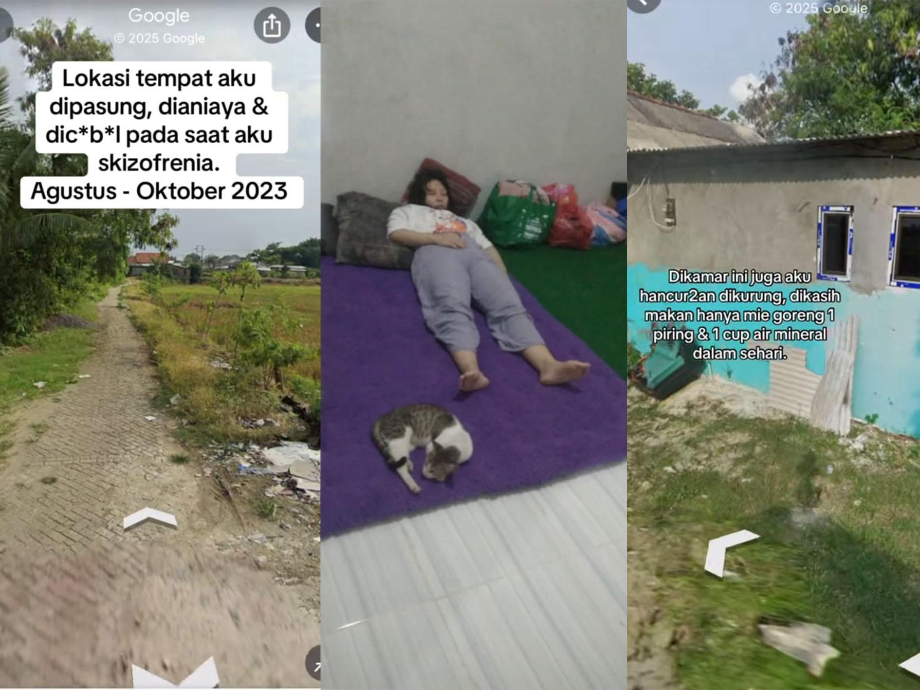 Wanita ini ceritakan kisah tragisnya mendapatkan penganiayaan saat mengidap skizofrenia. Kisahnya viral di akun TikTok.