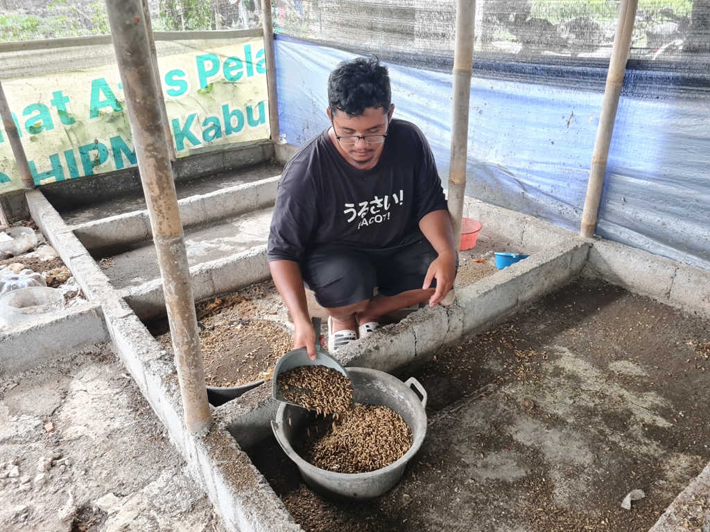 DIOLAH: Limbah yang dihasilkan dari SPPG Kota Magelang akan diserahkan kepada UMKM Reformasi Hijau untuk dijadikan pakan maggot.