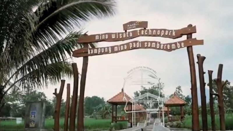 Kampung Mina Padi Samberembe, kampung percontohan yang berhasil mengintegrasikan sektor pertanian, perikanan, dan pariwisata.