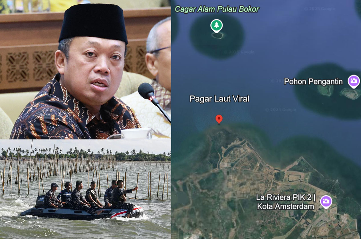 DARI KIRI: Menteri Agraria dan Tata Ruang/Badan Pertanahan Nasional (ATR/BPN) Nusron Wahid, TNI AL mencabuti pagar laut yang terletak di laut Tanggerang, Banten.