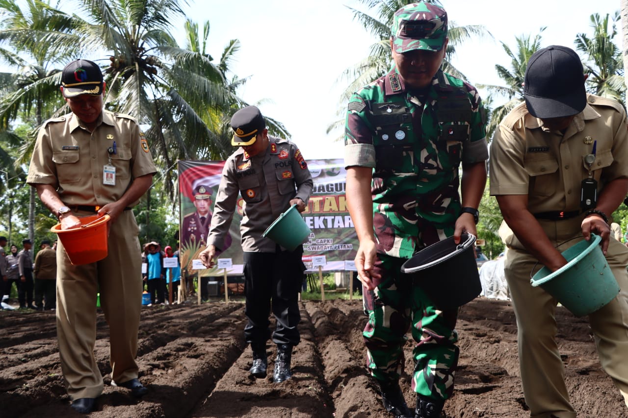Penanaman 5 kg benih jagung di lahan 3.000 meter persegi di Desa Patutrejo, Kecamatan Grabag, Kabupaten Purworejo pada Selasa (21/1).