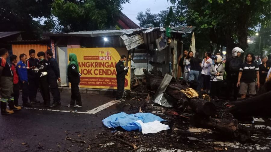 Seorang penjual angkringan di Yogyakarta meninggal dunia setelah tertimpa pohon, Selasa (21/1/2025).