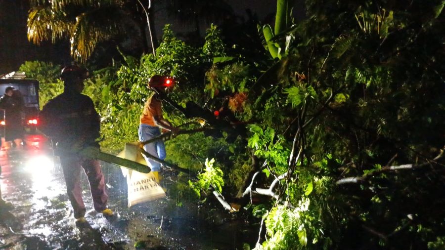 Dampak dari hujan lebat dan angin kencang