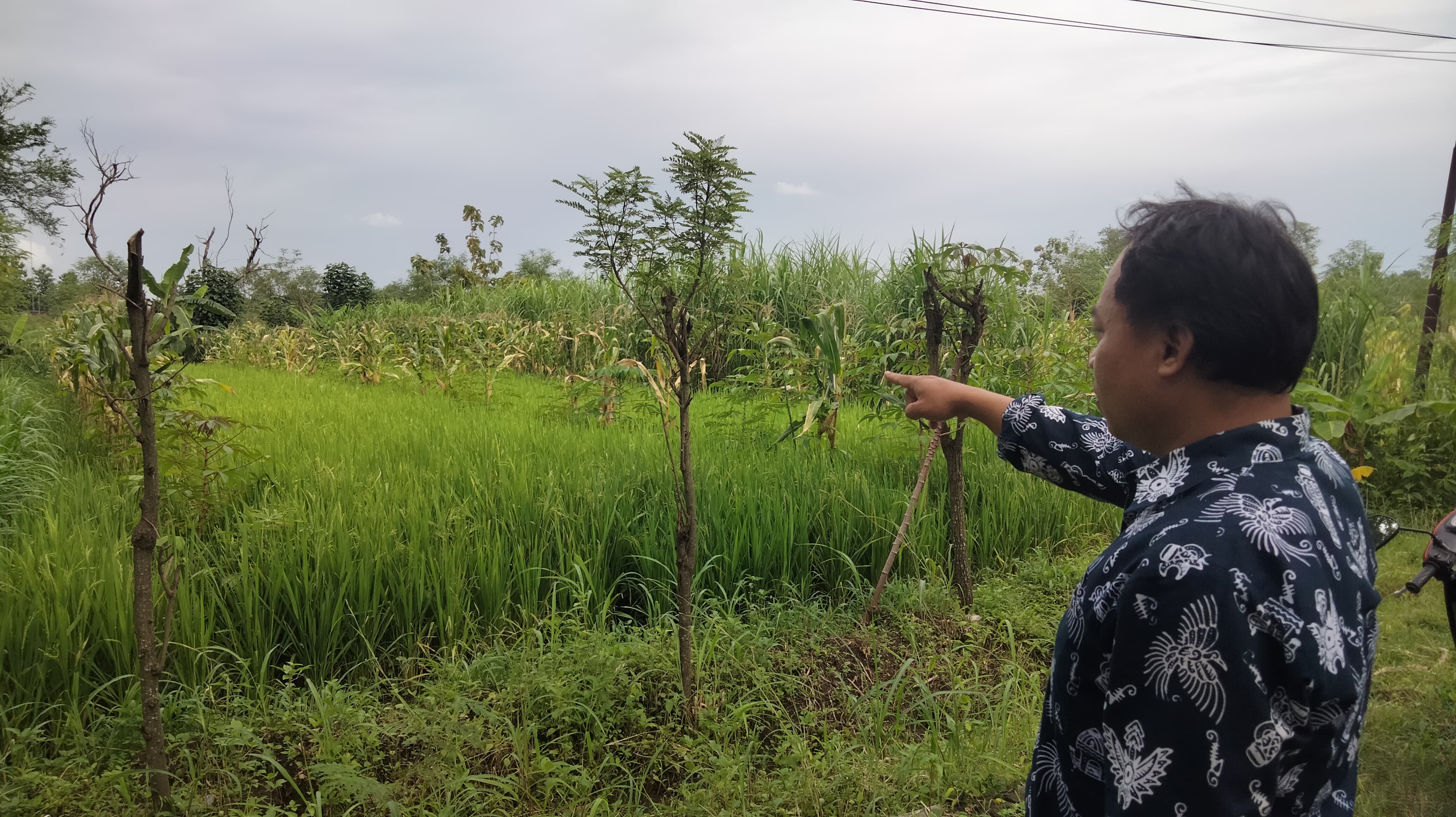 KETAHAN PANGAN: Lahan yang akan digunakan untuk lokasi pembangunan Lumbung Mataraman di Kalurahan Piyaman, Kapanewon Wonosari, Gunungkidul, Kamis (23/1).