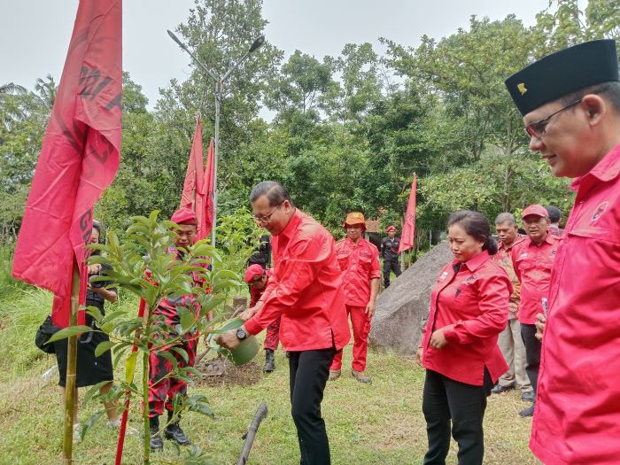PEDULI LINGKUNGAN: Aksi tanam pohon oleh DPC PDI Perjuangan Sleman di Wana Jonggol, Wukirsari, Cangkringan Kamis (23/1/2025).
