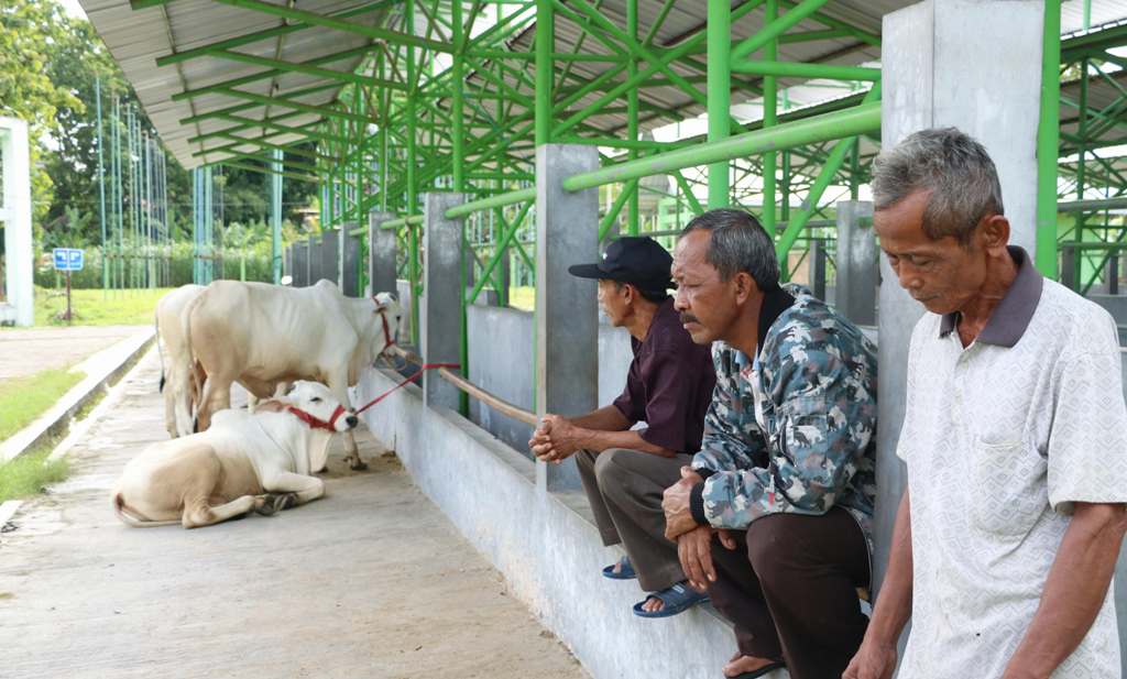 Pedagang sapi tak memperoleh keuntungan akibat PMK. Pemkab Kulon Progo pun menutup Pasar Hewan Terpadu Pengasih.  &nbsp;