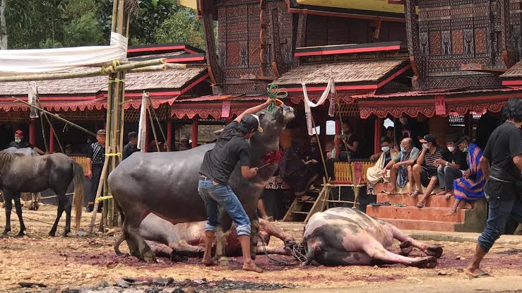 Upacara adat kematian&nbsp;Rambu Solo&rsquo;.