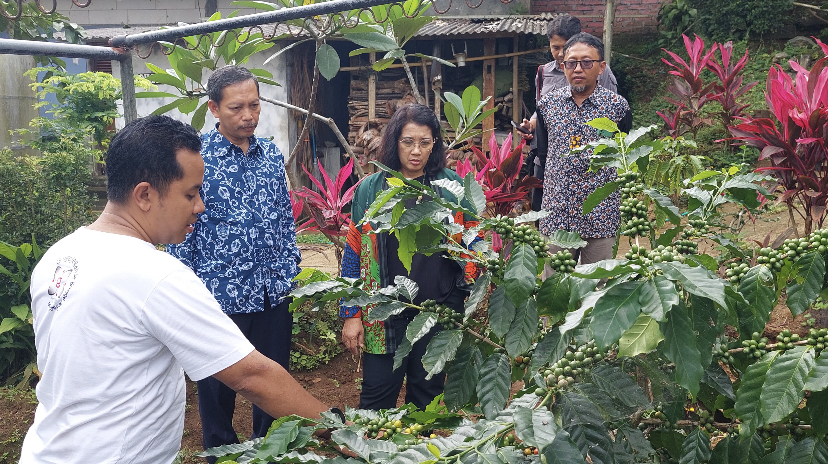 MENINJAU: Pj Bupati melihat pasar gelar potensi desa dan pertanian di Kalurahan Pagerharjo.