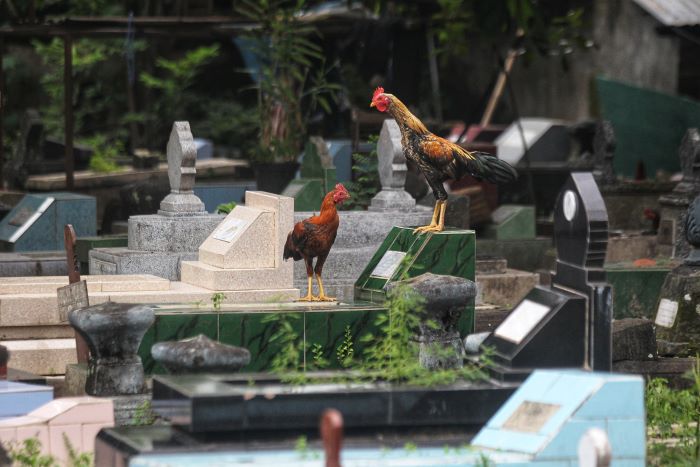 Pemakaman umum di tengah Kota Jogja yang telah padat.