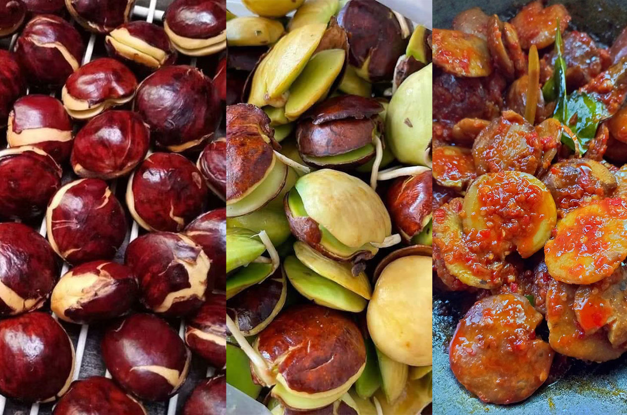 Jengkol mentah dan olahan  jengkol.