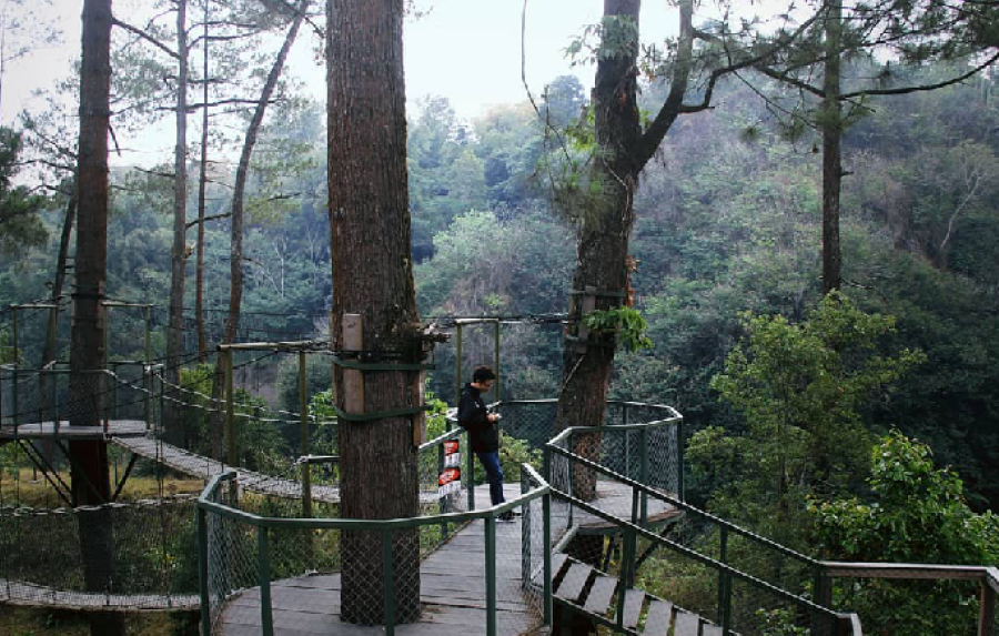 Taman indah di kawasan Jembatan Kalikuning Sleman.