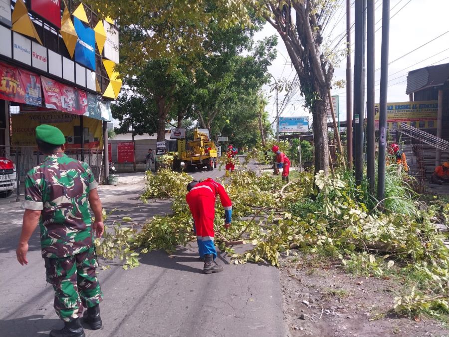 Pemangkasan 80 pohon sepanjang Jalan Sidomoyo-Cebongan