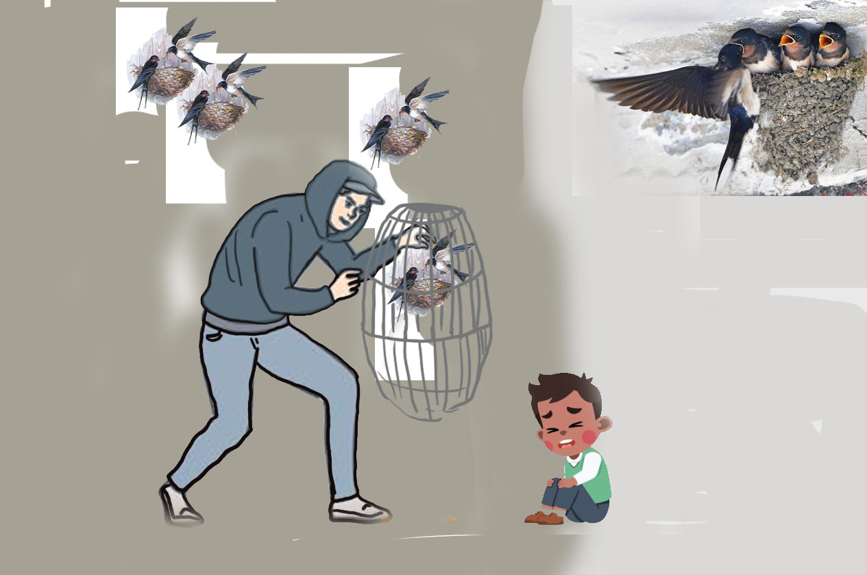 Ilustrasi pencuri burung dikira penculik anak.