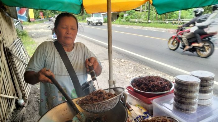 KULINER EKSTREM: Seorang pedagang walang goreng Wariyah saat menyiapkan dagangannya di Jalan Jogja-Wonosari, Gunungkidul Minggu (2/2/2025).