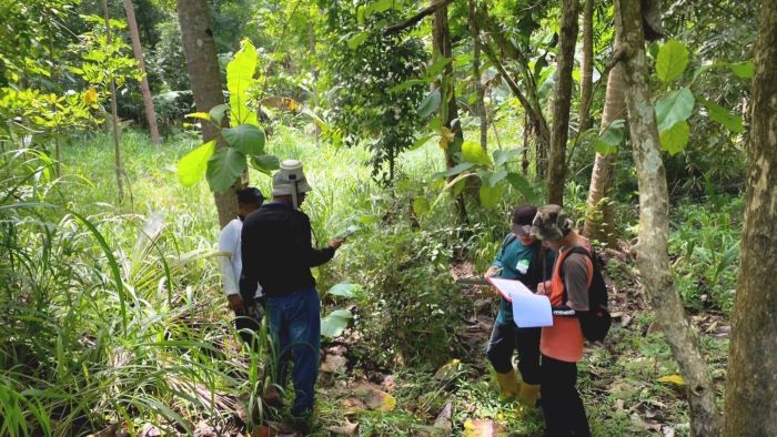 CEK LOKASI: Tim pengukuran saat melihat kondisi tanah kas desa di Kabupaten Kulon Progo.
