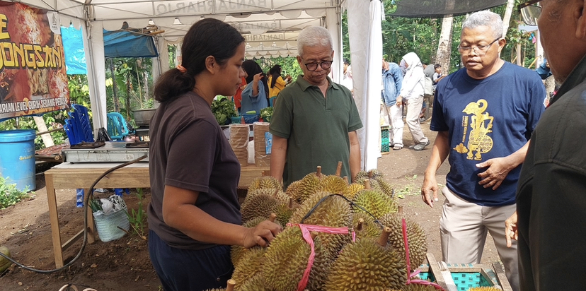 KEPRANAN: Pembeli melihat durian asli Banjaroya yang dijual masyarakat.