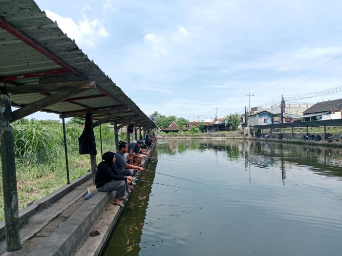 SENTRA PEMASARAN: Salah satu kolam pemancingan di Kabupaten Sleman yang menjadi lokasi pembelian ikan konsumsi.