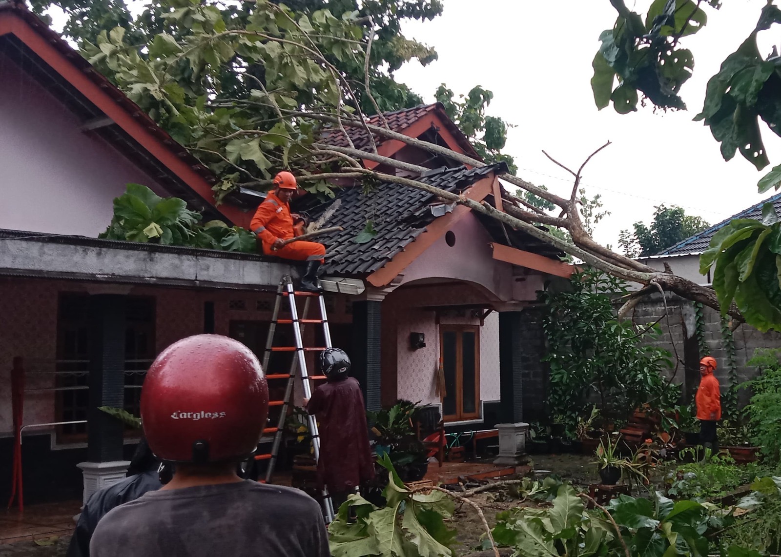 Pohon tumbang menimpa atap rumah warga di Kapanewon Wonosari, Gunungkidul.
