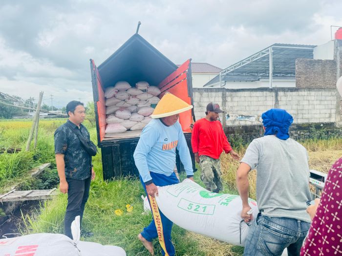 Perum Bulog Kanwil Yogyakarta menyerap 180 ton gabah kering panen dari petani sesuai HPP senilai Rp 6.500 per kilogram.