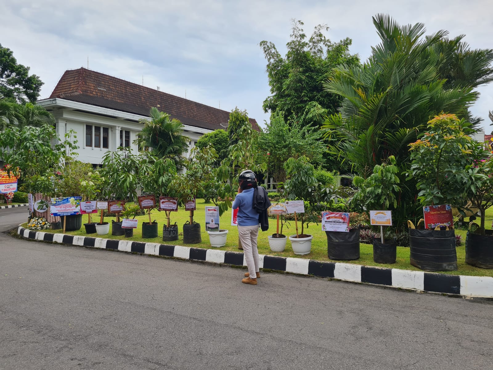 BERJAJAR: Beberapa bibit pohon ucapan untuk pelantikan bupati-wakil bupati Magelang terpilih, sudah berdatangan, Rabu (19/2/2025).