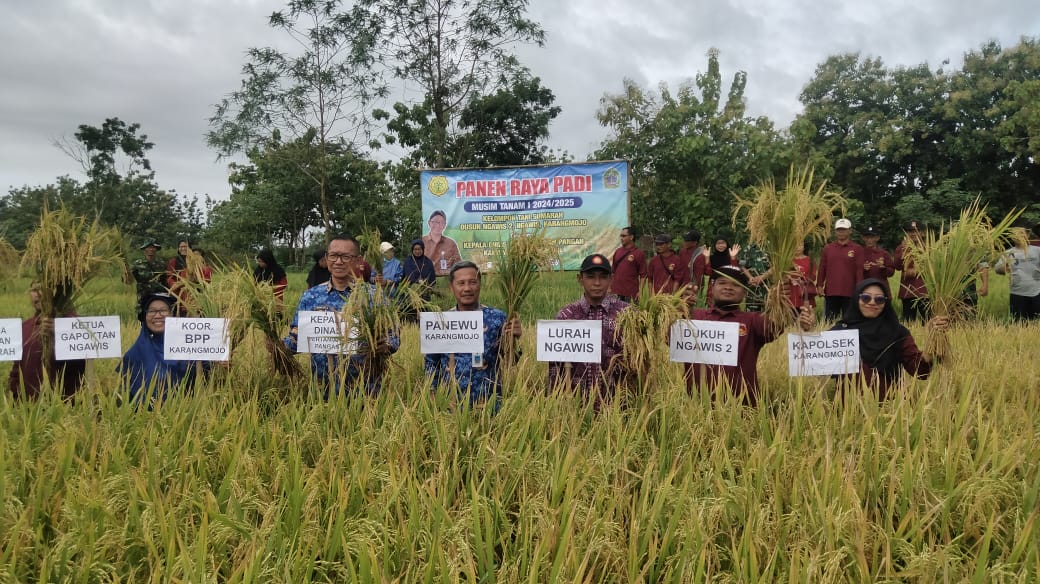&nbsp;  Para petani melaksanakan panen raya di Kapanewon Karangmojo, Gunungkidul.