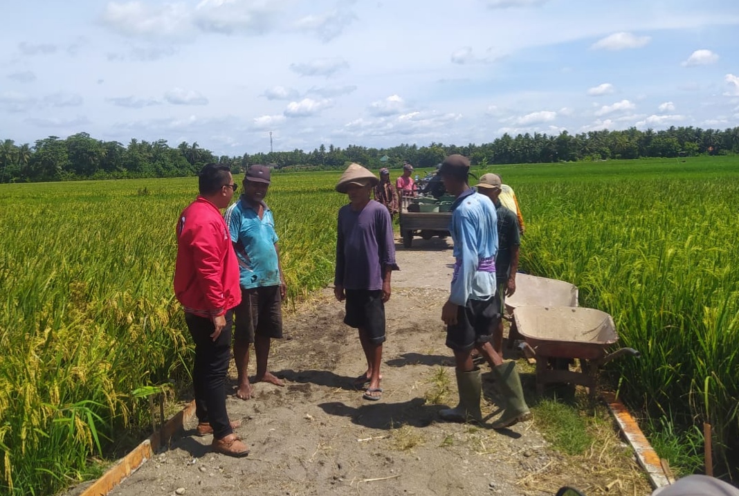 AGAR LEBIH MEMADAI: Beberapa warga kompak mengerjakan cor blok jalan di area persawahan RT 04 Padukuhan Bodowaluh, Poncosari, Srandakan, Bantul.