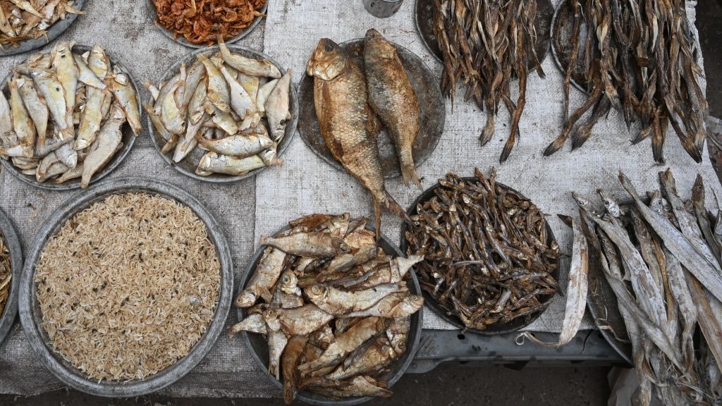 Berbagai varian ikan asin.