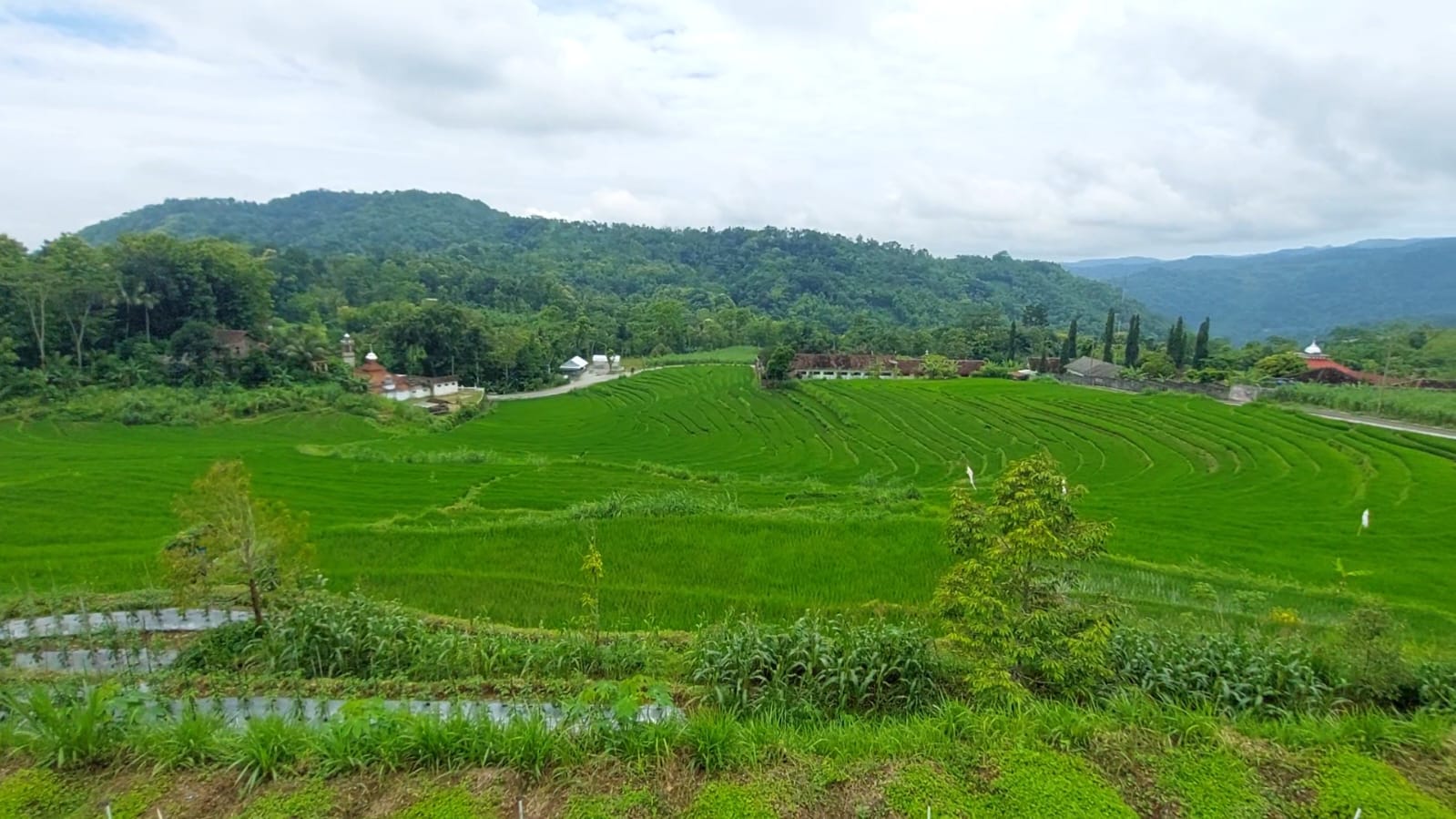 Pemandangan menuju Curug Sidoharjo, Kulon Progo.