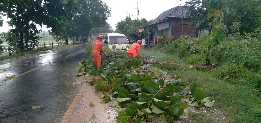 SIAGA: Bencana pohon tumbang menimpa rumah-rumah warga dan fasilitas umum di Gunungkidul.