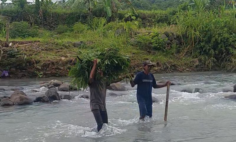 HATI-HATI: Warga sekitar menyebrang dengan berjalan kaki melewati derasnya Sungai Tinalah.&nbsp;