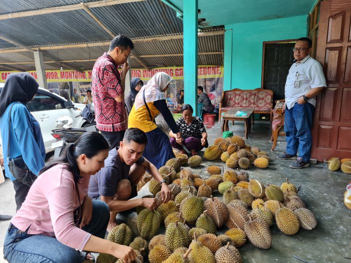 STOK MELIMPAH: Warga dari berbagai daerah pun sengaja mampir untuk menjajal durian di Desa Giyandi, Candimulyo, Magelang.