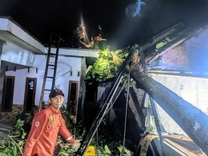 TERDAMPAK: Sejumlah pohon tumbang akibat hujan deras dan angin kencang di Bantul Sabtu (8/3).