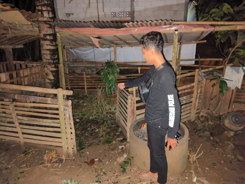 PENYELIDIKAN: Personel kepolisian meninjau kandang ternak yang disatroni pencuri.&nbsp;
