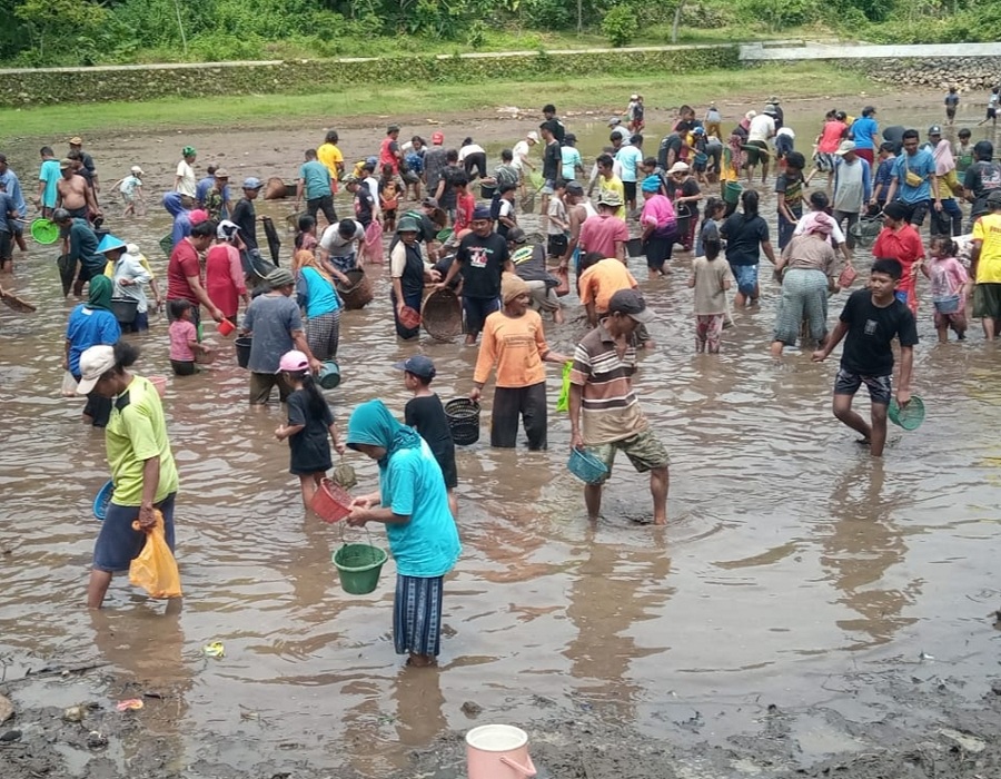 Ratusan warga berburu ikan di Telaga Dondong, Kalurahan Jetis, Saptosari, Gunungkidul, Selasa (4/3/2025) lalu.&nbsp;