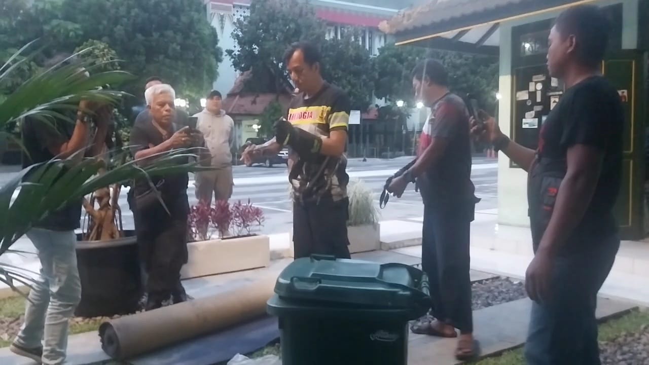 DIEVAKUASI: Petugas Damkarmat Kota Jogja saat berhasil mengevakuasi ular jenis sowo kopi di ruang wartawan Kompleks Balai Kota Jogja, Minggu (16/3/2025) petang.