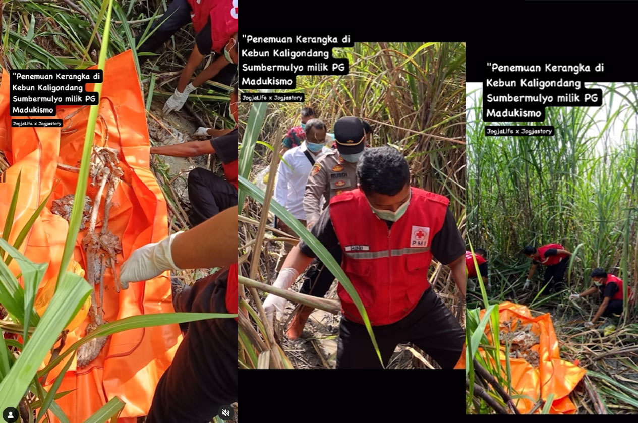 Penemuan kerangka manusia di ladang tebu milik PG Madukismo, Padukuhan Kaligondang, Sumbermulyo, Bambanglipuro, Bantul, pada Senin (17/3/2025) pagi.