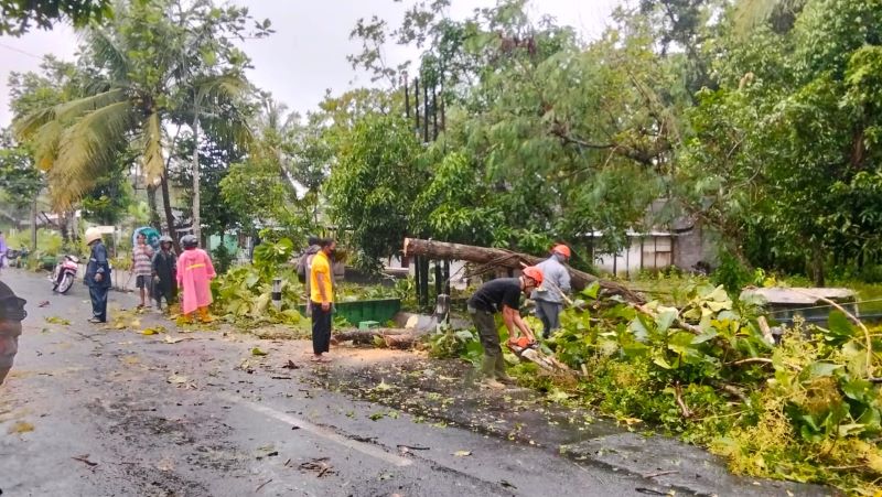 GOTONG ROYONG: Warga saat membersihkan pohon yang tumbang akibat hujan deras disertai angin kencang di Wonosari, Gunungkidul Rabu (19/3).
