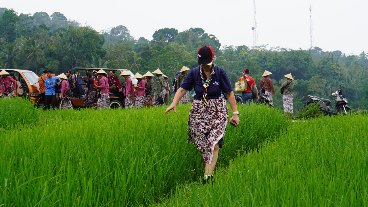 Dokumentasi Desa Wisata Widosari/ ANOM BAGASKORO/RADAR JOGJA  PEMANDANGAN: Wisatawan menyusuri area persawahan Kyai Alihan