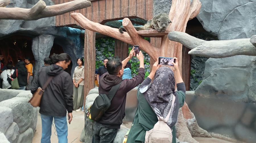 EKSOTIS:&nbsp;Pengunjung saat melihat berbagai jenis hewan yang ada di zona baru Suraloka Interactive Zoo pada Sabtu (29/3/2025).