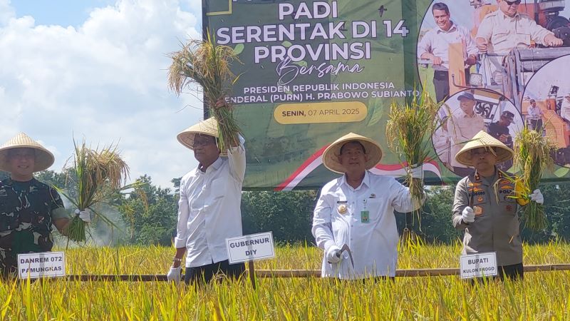 DIALOG: Gubernur DIY bersama Bupati Kulon Progo berdialog dengan petani.&nbsp;