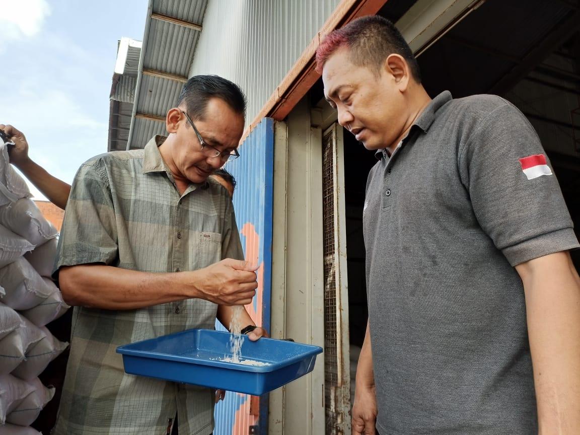 CEK KUALITAS : Kepala Gudang Bulog Kebumen Sidik Sugiharto mengecek kondisi beras hasil panen yang dibeli langsung dari petani.
